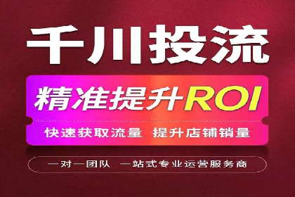 SEO百度推广策略：成功案例解析